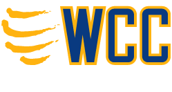 World Citi colleges